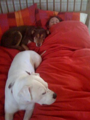 Napping at Home (Burtonsville, MD, 1/3/09)